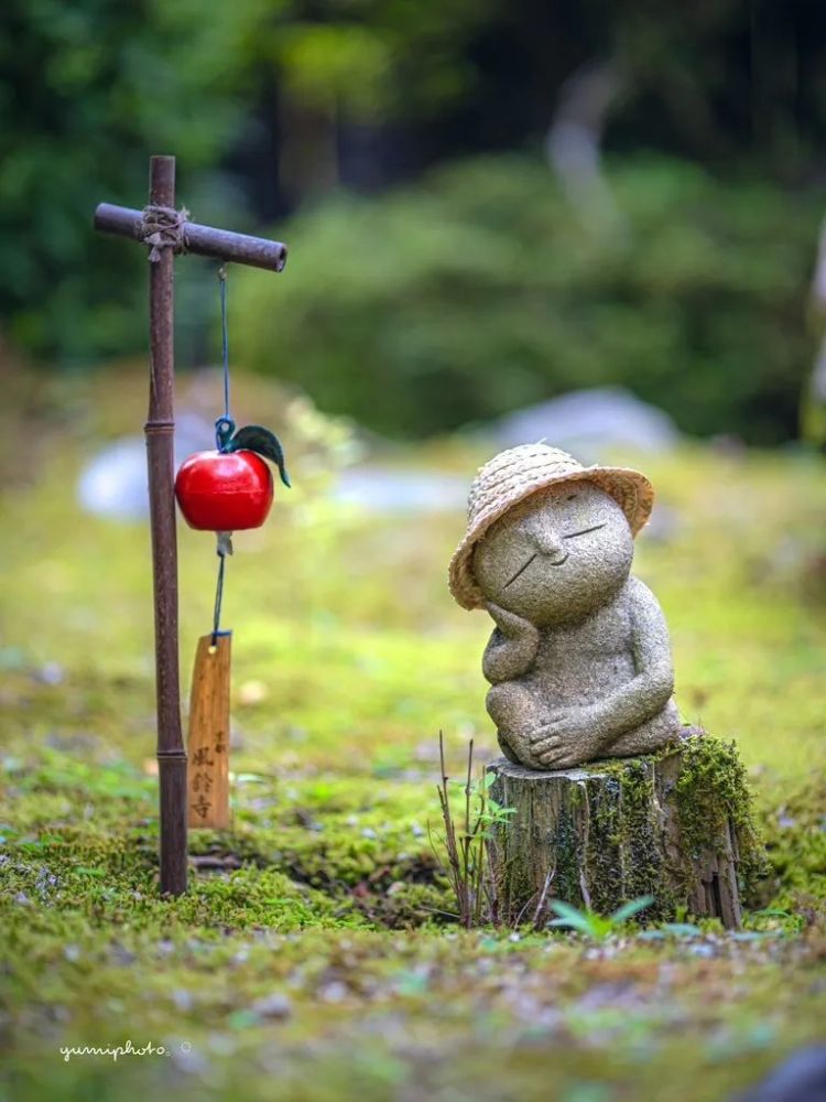 第250期:福山雅治涉性丑闻?日本青少年药物成瘾泛滥;LISA与坂口健太郎亲密照争议?前田敦子回归AKB?| 百通板 第250期:福山雅治涉性丑闻?日本青少年药物成瘾泛滥;LISA与坂口健太郎亲密照争议?前田敦子回归AKB?| 百通板