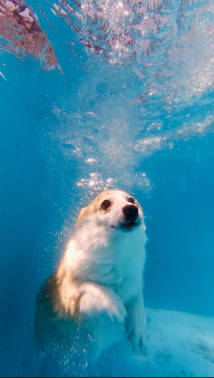 第250期:福山雅治涉性丑闻?日本青少年药物成瘾泛滥;LISA与坂口健太郎亲密照争议?前田敦子回归AKB?| 百通板 第250期:福山雅治涉性丑闻?日本青少年药物成瘾泛滥;LISA与坂口健太郎亲密照争议?前田敦子回归AKB?| 百通板