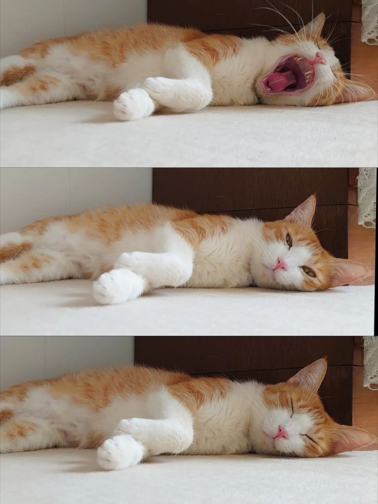 第250期:福山雅治涉性丑闻?日本青少年药物成瘾泛滥;LISA与坂口健太郎亲密照争议?前田敦子回归AKB?| 百通板 第250期:福山雅治涉性丑闻?日本青少年药物成瘾泛滥;LISA与坂口健太郎亲密照争议?前田敦子回归AKB?| 百通板