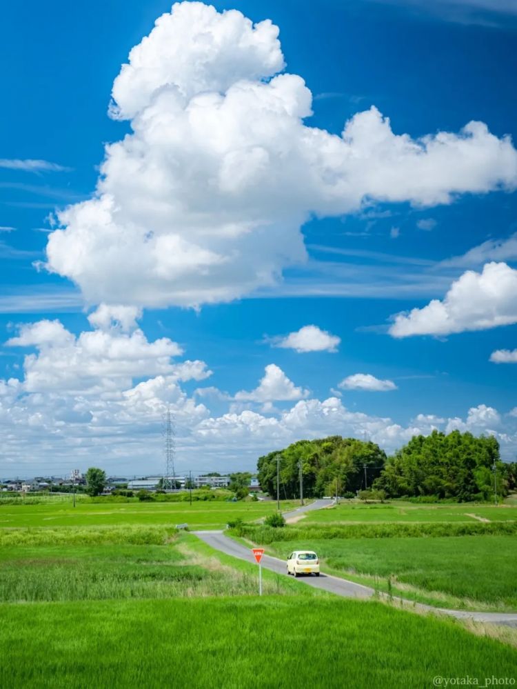 第251期:日本人在台举中国国旗?滨寿司再现食品安全问题;知名动画抄袭X JAPAN?usj联动世博 | 百通板 第251期:日本人在台举中国国旗?滨寿司再现食品安全问题;知名动画抄袭X JAPAN?usj联动世博 | 百通板