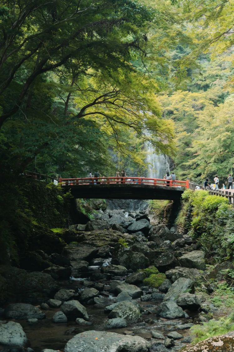 第252期：日本出生人口再创新低；鸠山由纪夫出席九三阅兵；极乐净土组合解散？二宫和也《8号出口》确认引进 | 百通板