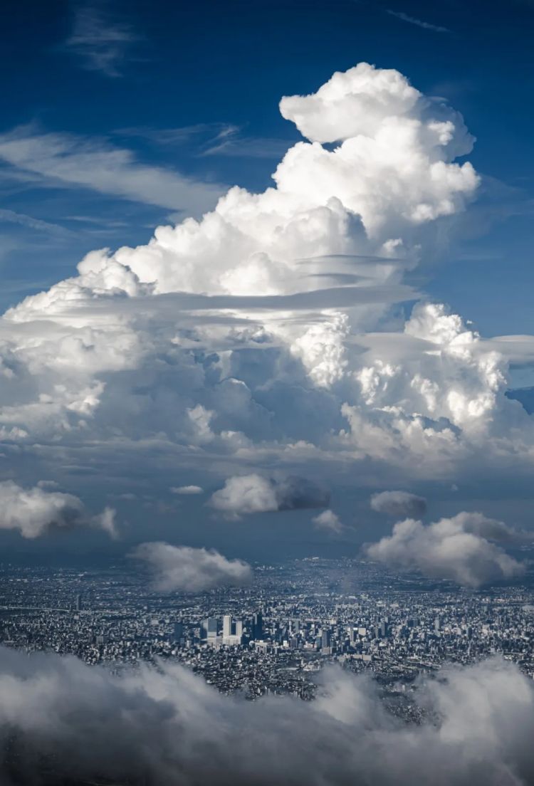 第252期：日本出生人口再创新低；鸠山由纪夫出席九三阅兵；极乐净土组合解散？二宫和也《8号出口》确认引进 | 百通板