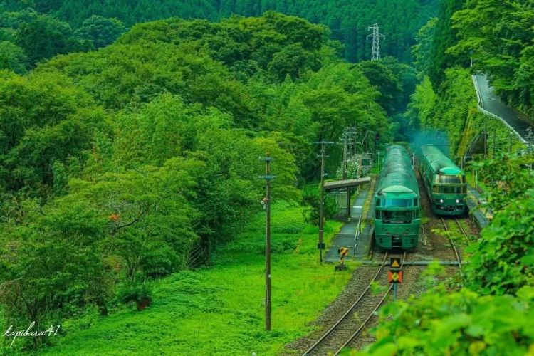 第252期：日本出生人口再创新低；鸠山由纪夫出席九三阅兵；极乐净土组合解散？二宫和也《8号出口》确认引进 | 百通板