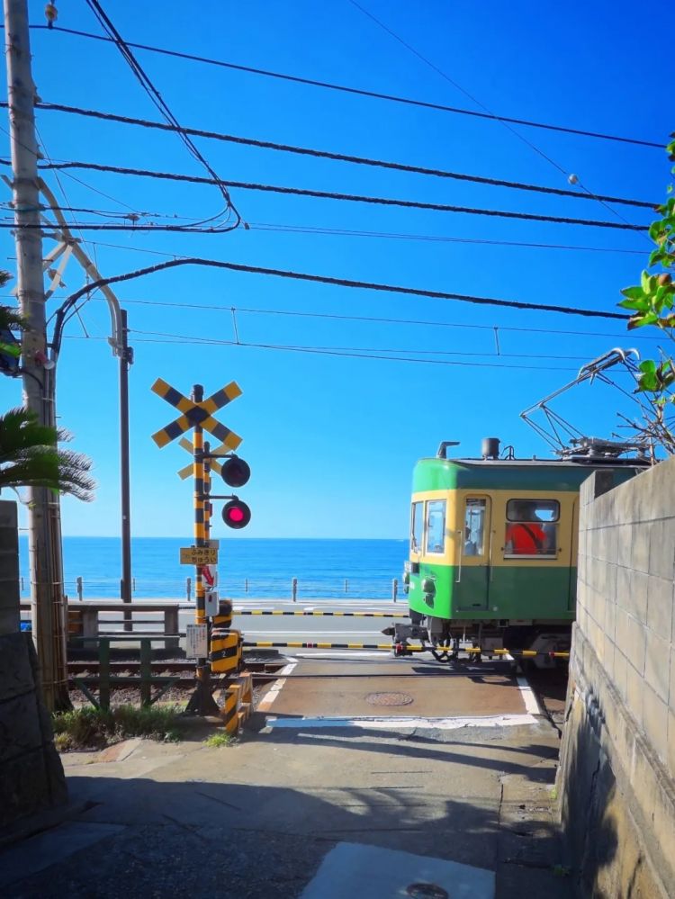 第252期：日本出生人口再创新低；鸠山由纪夫出席九三阅兵；极乐净土组合解散？二宫和也《8号出口》确认引进 | 百通板