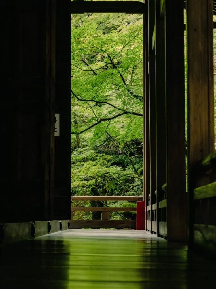 第252期：日本出生人口再创新低；鸠山由纪夫出席九三阅兵；极乐净土组合解散？二宫和也《8号出口》确认引进 | 百通板