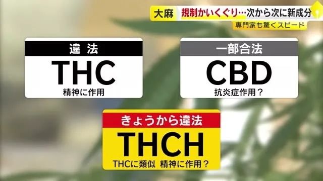 三得利会长竟购买毒品？日本网友辩护：“他被资本做局了！”