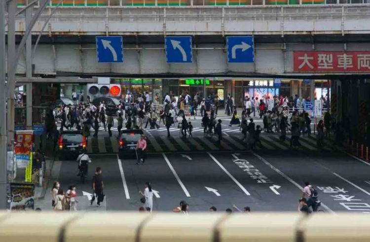 第253期:永野芽郁插足坂口健太郎多角恋?石破茂辞职;悠仁亲王举行成年式;中国电视占据日本市场 | 百通板 第253期:永野芽郁插足坂口健太郎多角恋?石破茂辞职;悠仁亲王举行成年式;中国电视占据日本市场 | 百通板