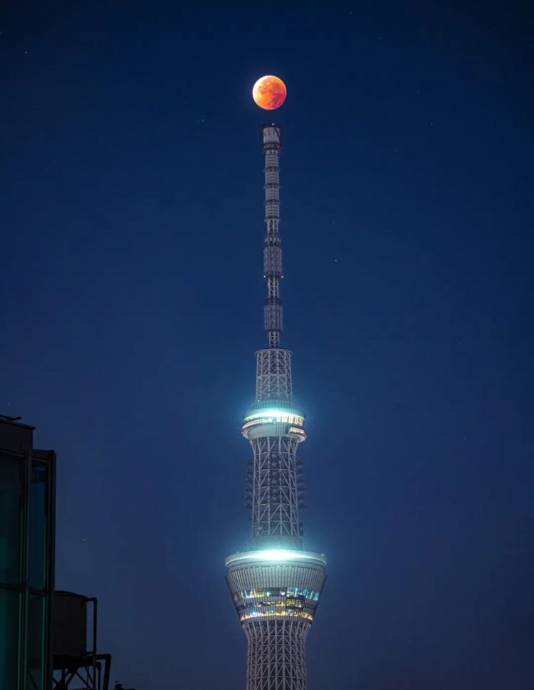 第253期:永野芽郁插足坂口健太郎多角恋?石破茂辞职;悠仁亲王举行成年式;中国电视占据日本市场 | 百通板 第253期:永野芽郁插足坂口健太郎多角恋?石破茂辞职;悠仁亲王举行成年式;中国电视占据日本市场 | 百通板