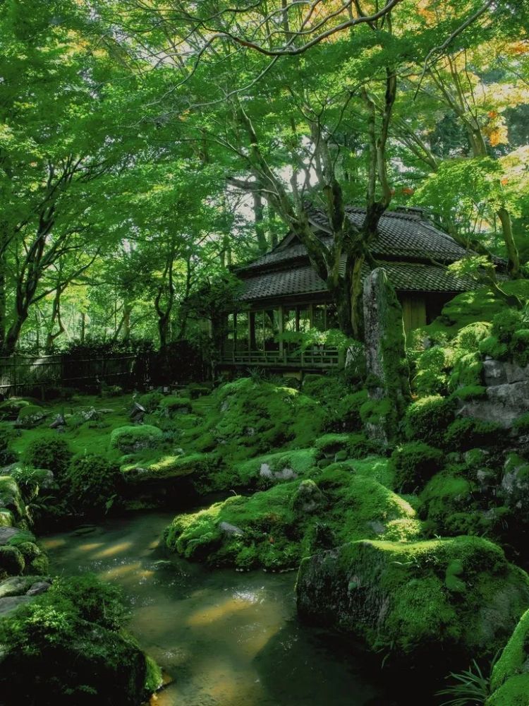 第253期:永野芽郁插足坂口健太郎多角恋?石破茂辞职;悠仁亲王举行成年式;中国电视占据日本市场 | 百通板 第253期:永野芽郁插足坂口健太郎多角恋?石破茂辞职;悠仁亲王举行成年式;中国电视占据日本市场 | 百通板