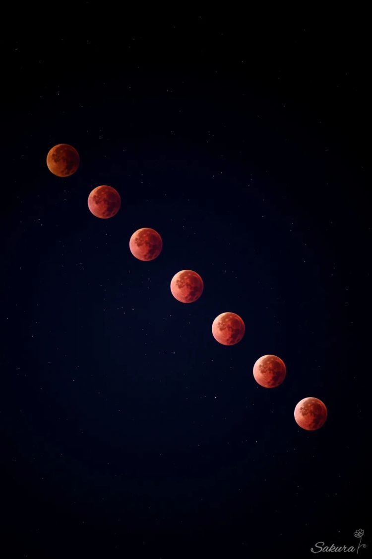 第253期:永野芽郁插足坂口健太郎多角恋?石破茂辞职;悠仁亲王举行成年式;中国电视占据日本市场 | 百通板 第253期:永野芽郁插足坂口健太郎多角恋?石破茂辞职;悠仁亲王举行成年式;中国电视占据日本市场 | 百通板