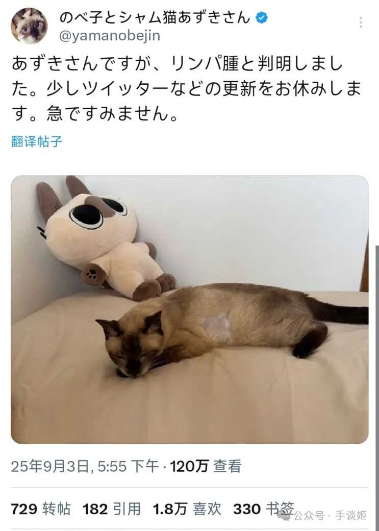 “暹罗猫小豆泥”去世