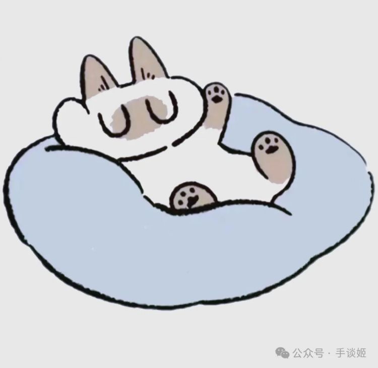 “暹罗猫小豆泥”去世