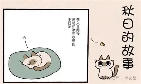 “暹罗猫小豆泥”去世