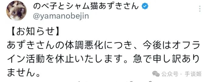 “暹罗猫小豆泥”去世