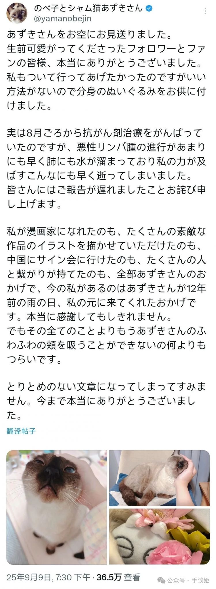 “暹罗猫小豆泥”去世