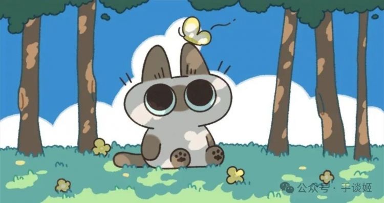 “暹罗猫小豆泥”去世