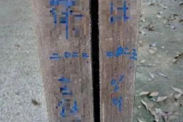 游客手一抖，千年古迹遭殃！奈良春日大社柱子上简体字“恩爱永远”，警方怒查