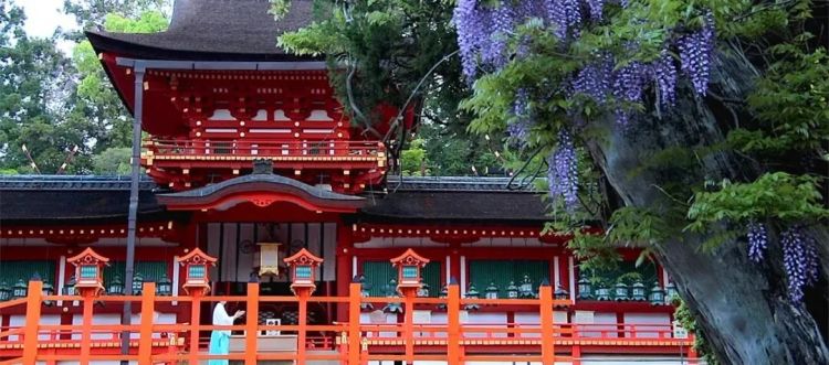 游客手一抖，千年古迹遭殃！奈良春日大社柱子上简体字“恩爱永远”，警方怒查