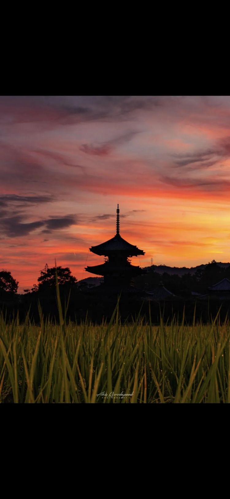 第254期：日本将整治排外言论？花泽香菜小野贤章离婚；中国患者被收三倍医疗费？日本成立AI战略部？ | 百通板