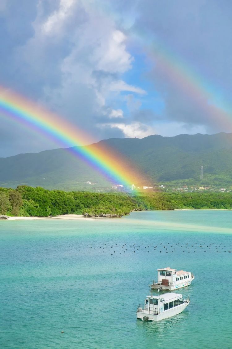 第254期：日本将整治排外言论？花泽香菜小野贤章离婚；中国患者被收三倍医疗费？日本成立AI战略部？ | 百通板