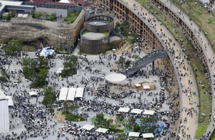 第254期：日本将整治排外言论？花泽香菜小野贤章离婚；中国患者被收三倍医疗费？日本成立AI战略部？ | 百通板