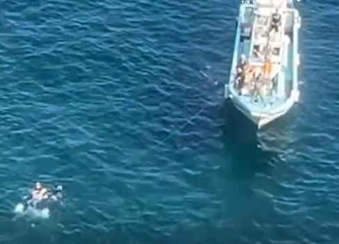 中国大叔在日本拯救落水女子，大多日媒却装聋作哑？评论也是大海捞针……