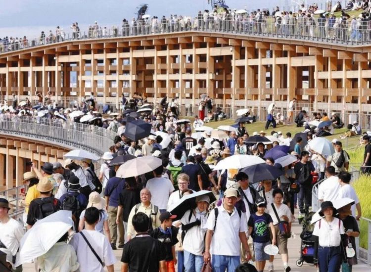 第254期：日本将整治排外言论？花泽香菜小野贤章离婚；中国患者被收三倍医疗费？日本成立AI战略部？ | 百通板