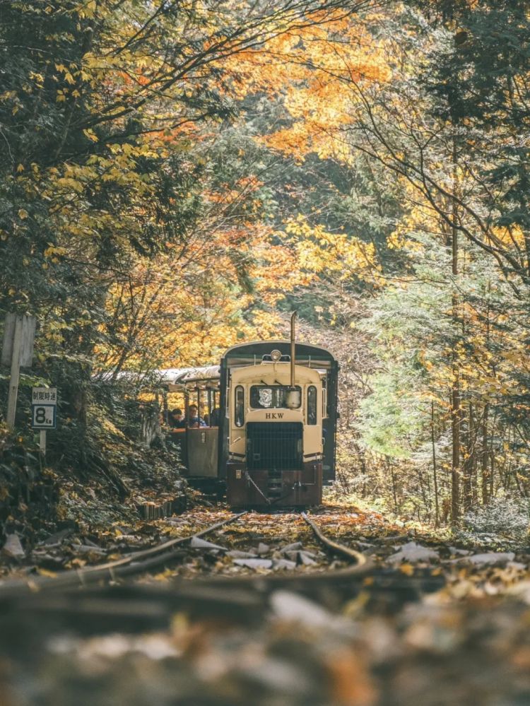 第254期：日本将整治排外言论？花泽香菜小野贤章离婚；中国患者被收三倍医疗费？日本成立AI战略部？ | 百通板