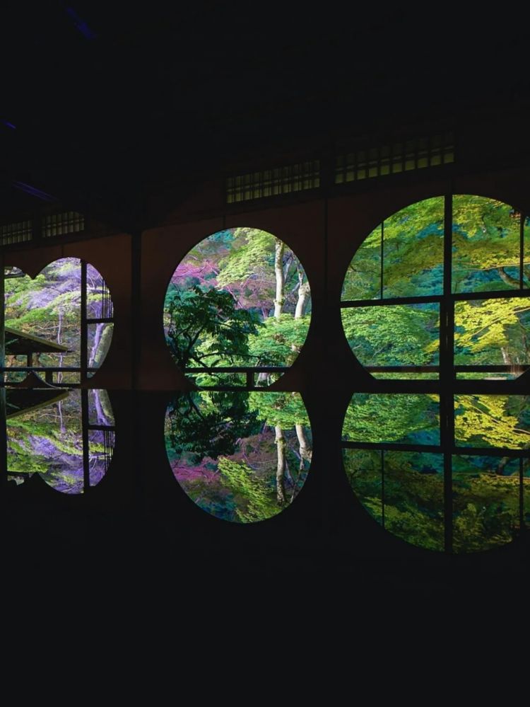 第254期：日本将整治排外言论？花泽香菜小野贤章离婚；中国患者被收三倍医疗费？日本成立AI战略部？ | 百通板