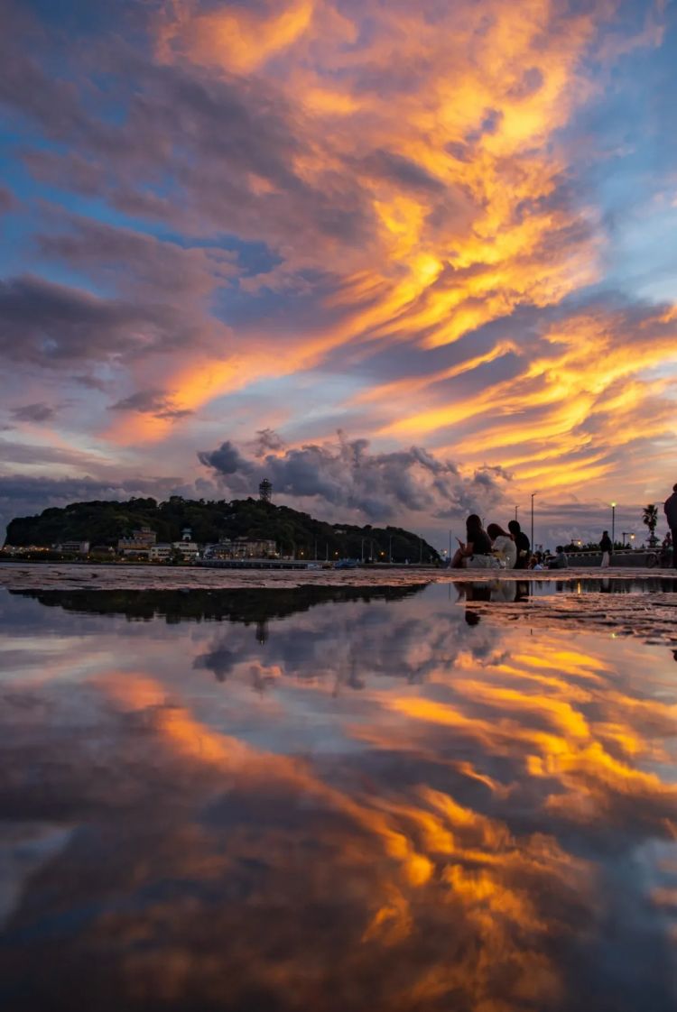 第254期：日本将整治排外言论？花泽香菜小野贤章离婚；中国患者被收三倍医疗费？日本成立AI战略部？ | 百通板