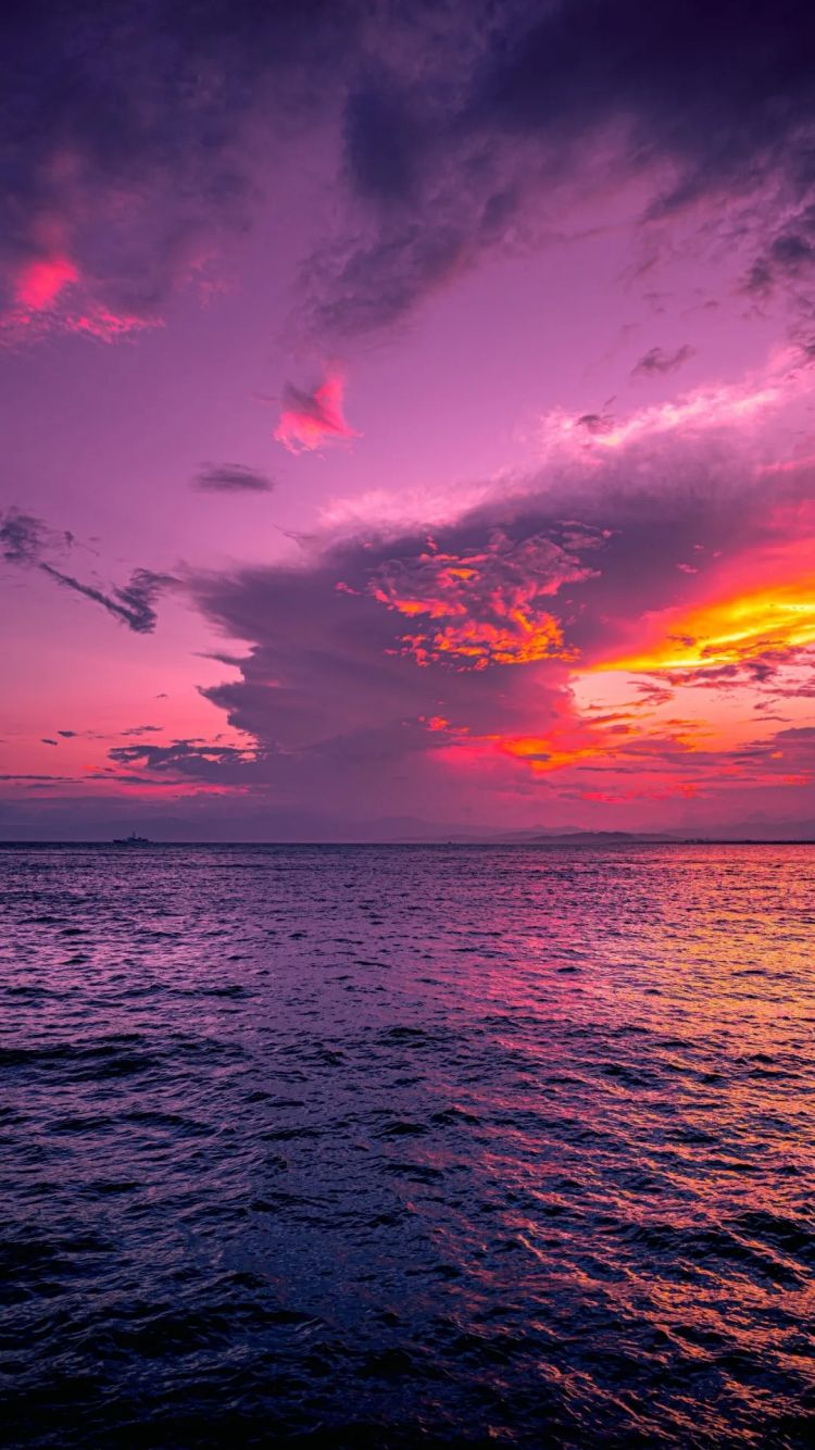 第254期：日本将整治排外言论？花泽香菜小野贤章离婚；中国患者被收三倍医疗费？日本成立AI战略部？ | 百通板