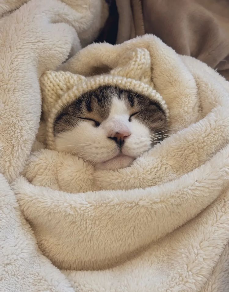 第255期:日本建外国人公寓?大阪世博烟花致游客受伤;知名电音女团解散?乐队结婚潮? | 百通板 第255期:日本建外国人公寓?大阪世博烟花致游客受伤;知名电音女团解散?乐队结婚潮? | 百通板