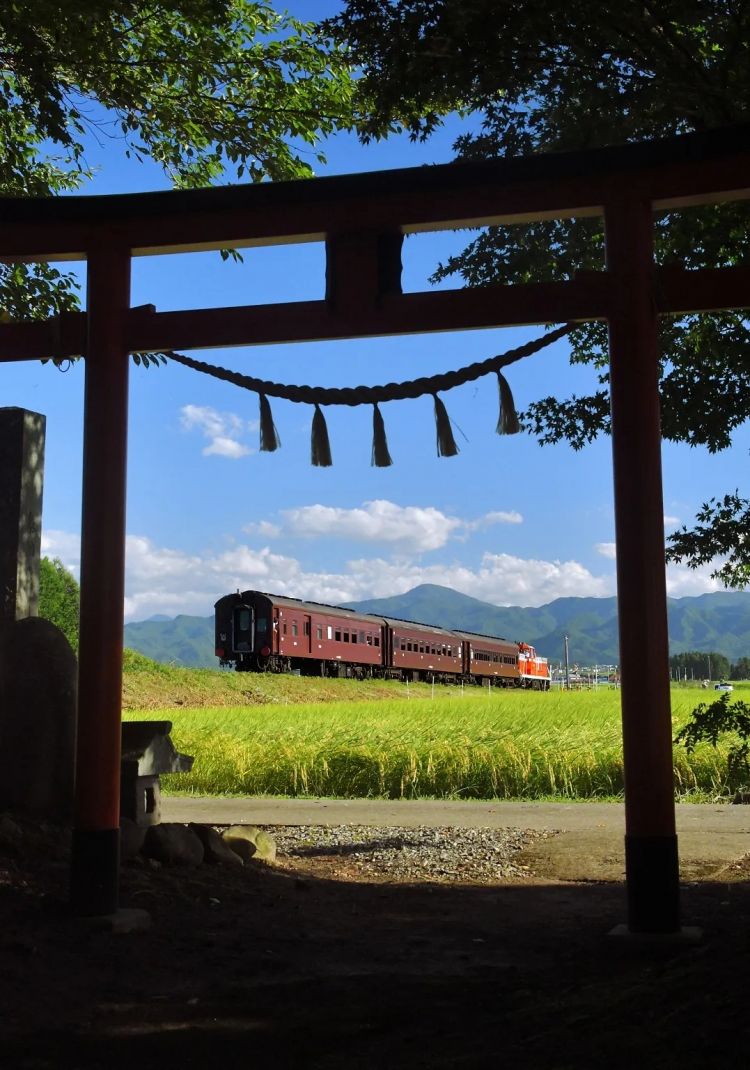 第255期:日本建外国人公寓?大阪世博烟花致游客受伤;知名电音女团解散?乐队结婚潮? | 百通板 第255期:日本建外国人公寓?大阪世博烟花致游客受伤;知名电音女团解散?乐队结婚潮? | 百通板