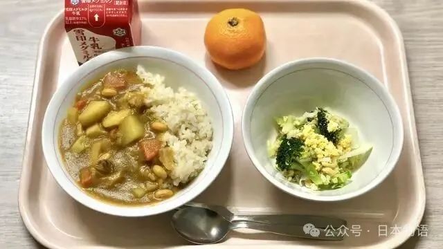 为什么全球都在效仿日本的校餐模式