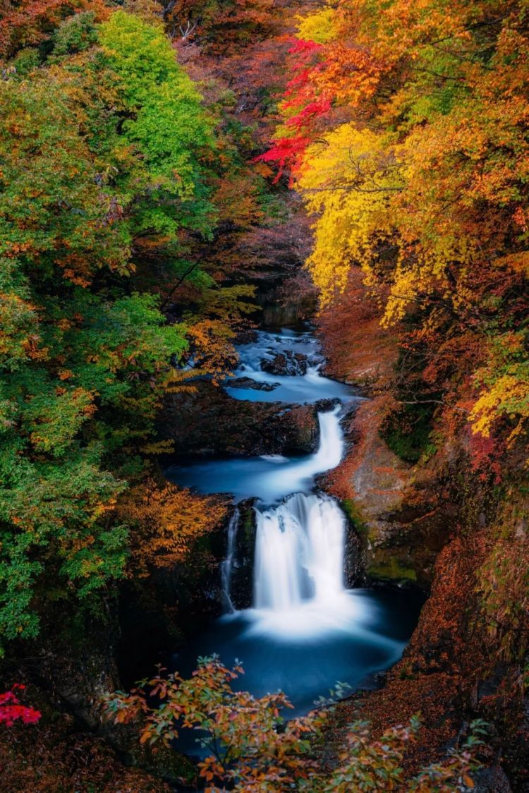 第256期:日本大地震概率又高了?特朗普宝可梦打击移民?拉布布联名大阪世博 | 百通板 第256期:日本大地震概率又高了?特朗普宝可梦打击移民?拉布布联名大阪世博 | 百通板