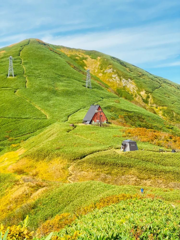 第256期:日本大地震概率又高了?特朗普宝可梦打击移民?拉布布联名大阪世博 | 百通板 第256期:日本大地震概率又高了?特朗普宝可梦打击移民?拉布布联名大阪世博 | 百通板