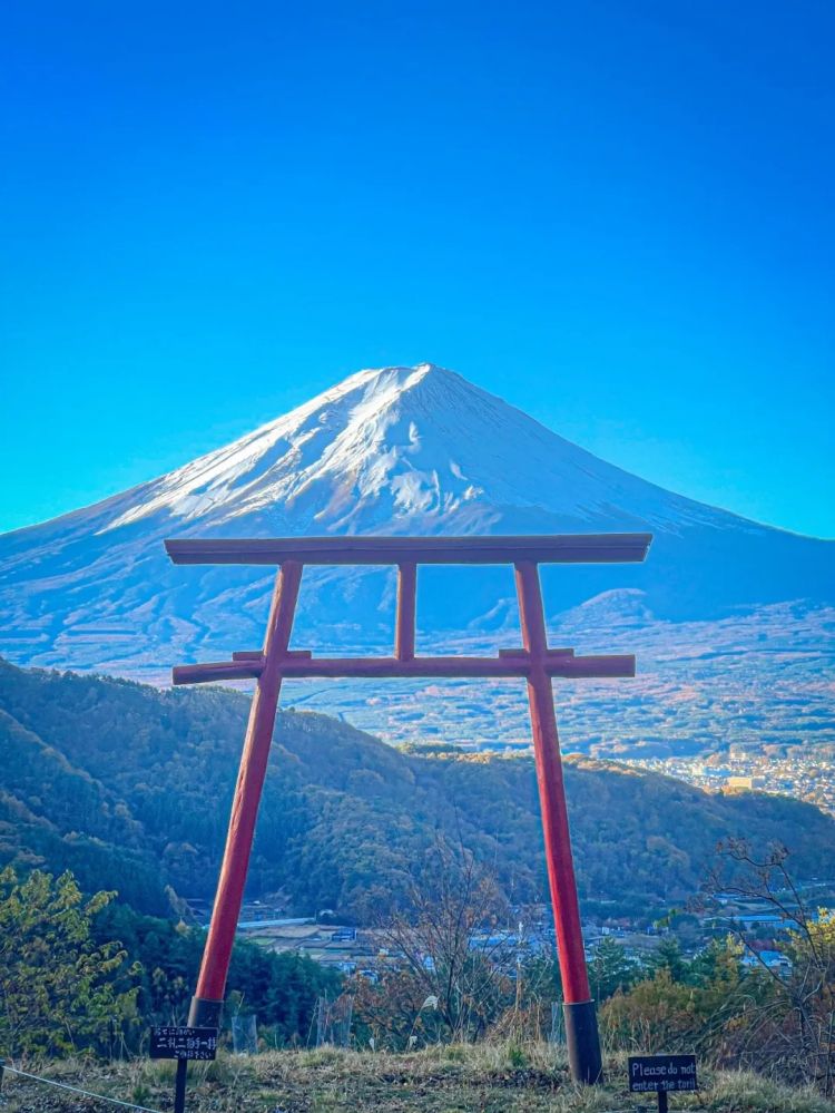 第256期:日本大地震概率又高了?特朗普宝可梦打击移民?拉布布联名大阪世博 | 百通板 第256期:日本大地震概率又高了?特朗普宝可梦打击移民?拉布布联名大阪世博 | 百通板