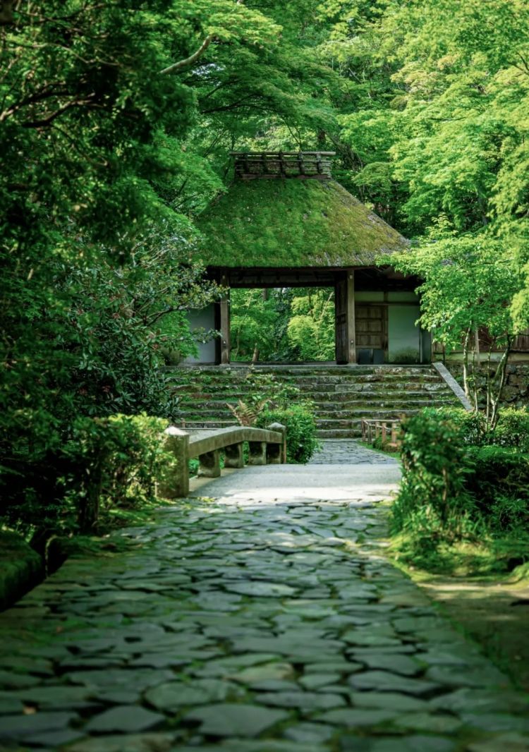 第256期:日本大地震概率又高了?特朗普宝可梦打击移民?拉布布联名大阪世博 | 百通板 第256期:日本大地震概率又高了?特朗普宝可梦打击移民?拉布布联名大阪世博 | 百通板