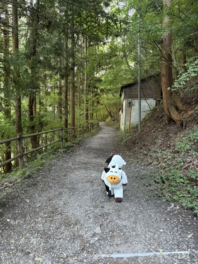 第257期:高市早苗成日本首任女首相?称日本人需像牛马一样工作;国庆周海外游日本最热门;诺贝尔奖出炉 | 百通板 第257期:高市早苗成日本首任女首相?称日本人需像牛马一样工作;国庆周海外游日本最热门;诺贝尔奖出炉 | 百通板