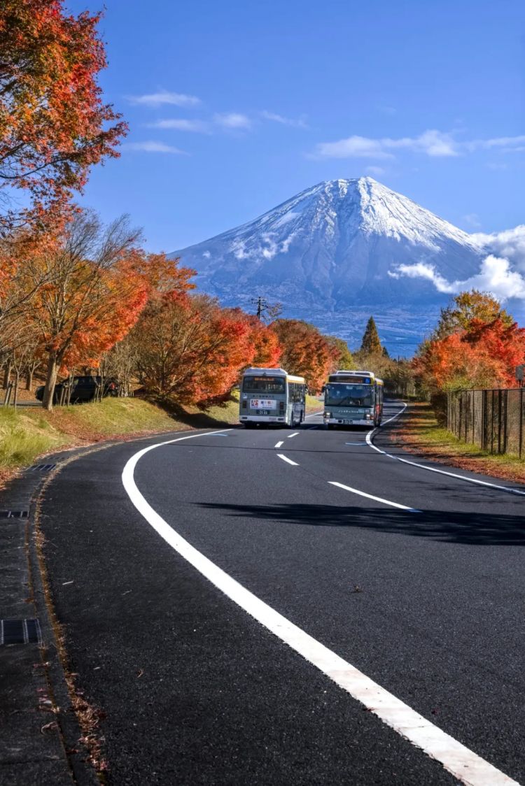 第257期:高市早苗成日本首任女首相?称日本人需像牛马一样工作;国庆周海外游日本最热门;诺贝尔奖出炉 | 百通板 第257期:高市早苗成日本首任女首相?称日本人需像牛马一样工作;国庆周海外游日本最热门;诺贝尔奖出炉 | 百通板