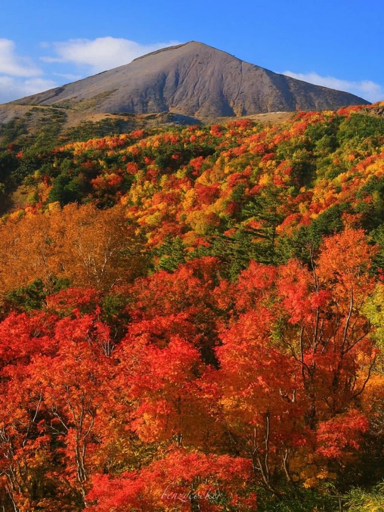 第257期:高市早苗成日本首任女首相?称日本人需像牛马一样工作;国庆周海外游日本最热门;诺贝尔奖出炉 | 百通板 第257期:高市早苗成日本首任女首相?称日本人需像牛马一样工作;国庆周海外游日本最热门;诺贝尔奖出炉 | 百通板