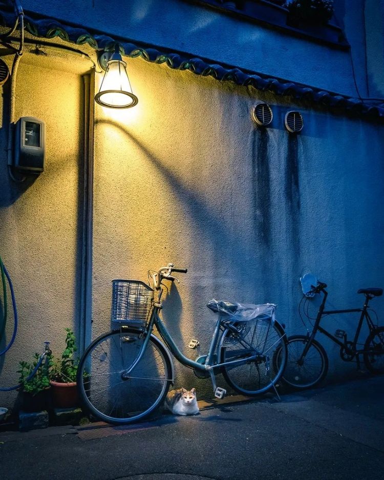 第257期:高市早苗成日本首任女首相?称日本人需像牛马一样工作;国庆周海外游日本最热门;诺贝尔奖出炉 | 百通板 第257期:高市早苗成日本首任女首相?称日本人需像牛马一样工作;国庆周海外游日本最热门;诺贝尔奖出炉 | 百通板