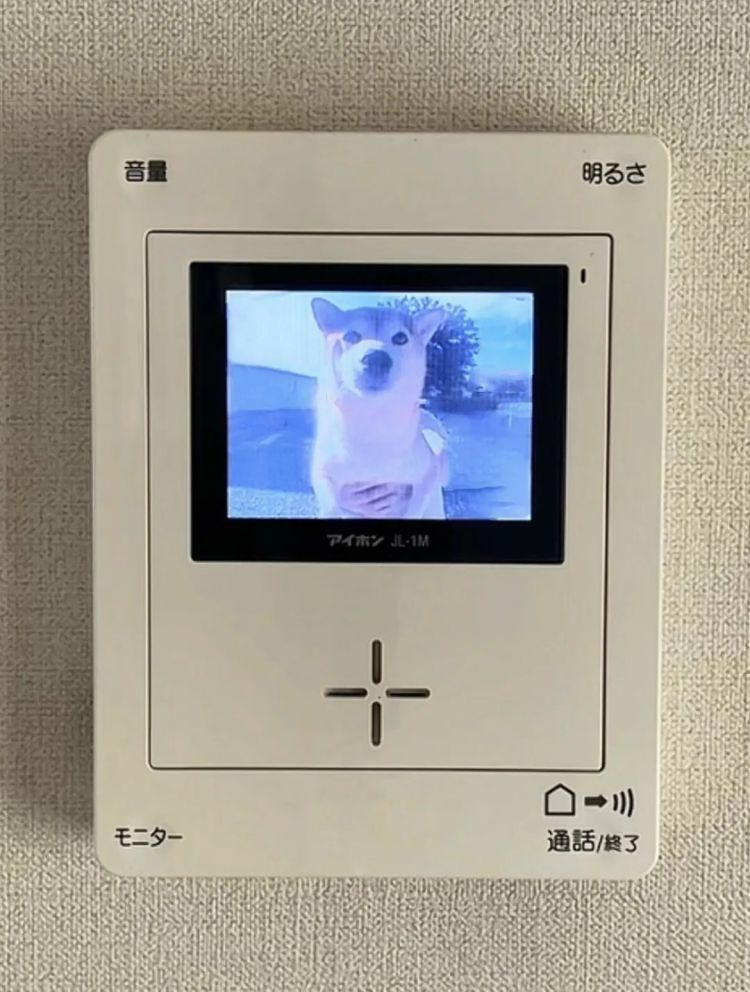 第257期:高市早苗成日本首任女首相?称日本人需像牛马一样工作;国庆周海外游日本最热门;诺贝尔奖出炉 | 百通板 第257期:高市早苗成日本首任女首相?称日本人需像牛马一样工作;国庆周海外游日本最热门;诺贝尔奖出炉 | 百通板