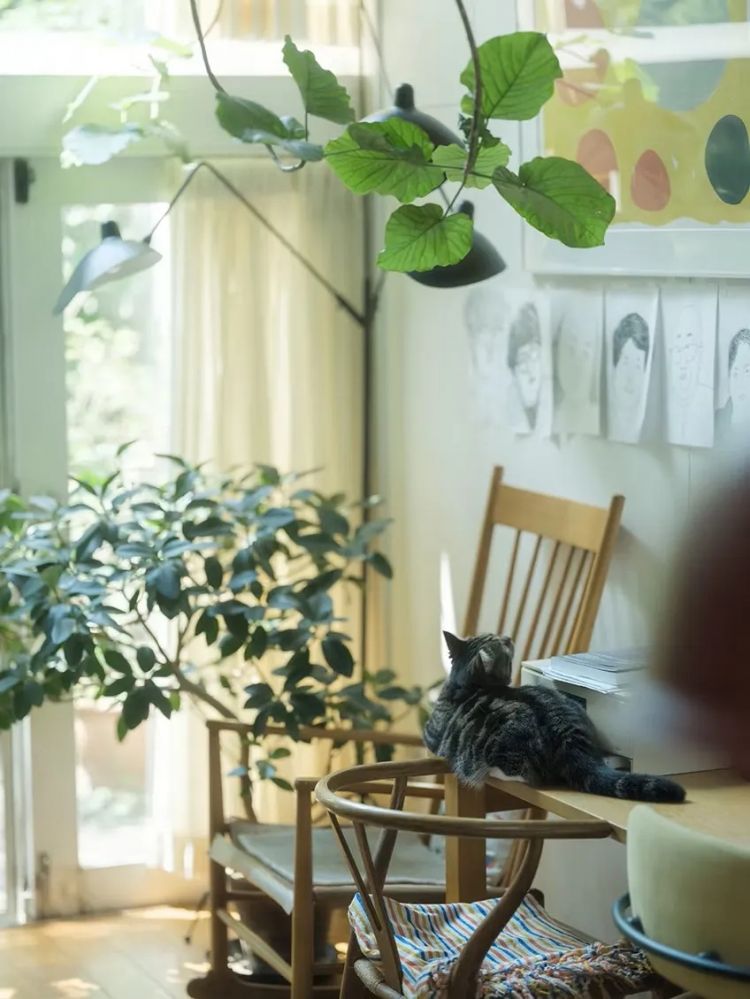 当1.5亿中国人选择独居，你准备好了吗？日本的今天就是我们的明天