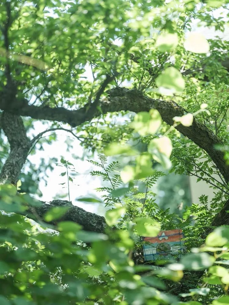 当1.5亿中国人选择独居，你准备好了吗？日本的今天就是我们的明天