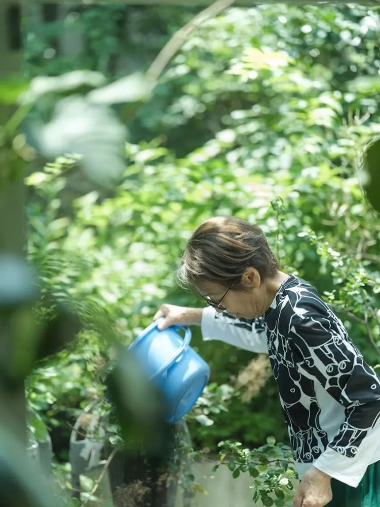 当1.5亿中国人选择独居，你准备好了吗？日本的今天就是我们的明天