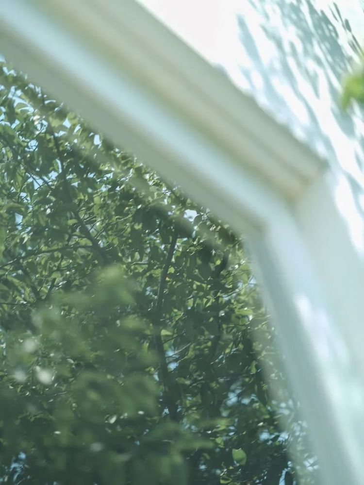 当1.5亿中国人选择独居，你准备好了吗？日本的今天就是我们的明天