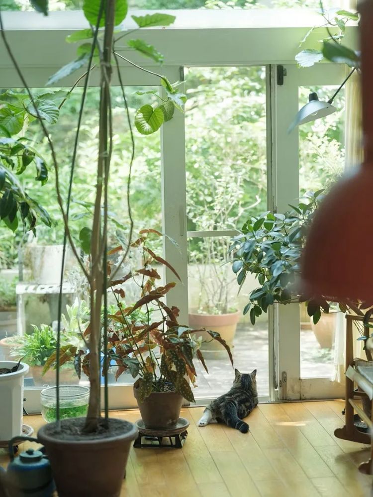 当1.5亿中国人选择独居，你准备好了吗？日本的今天就是我们的明天