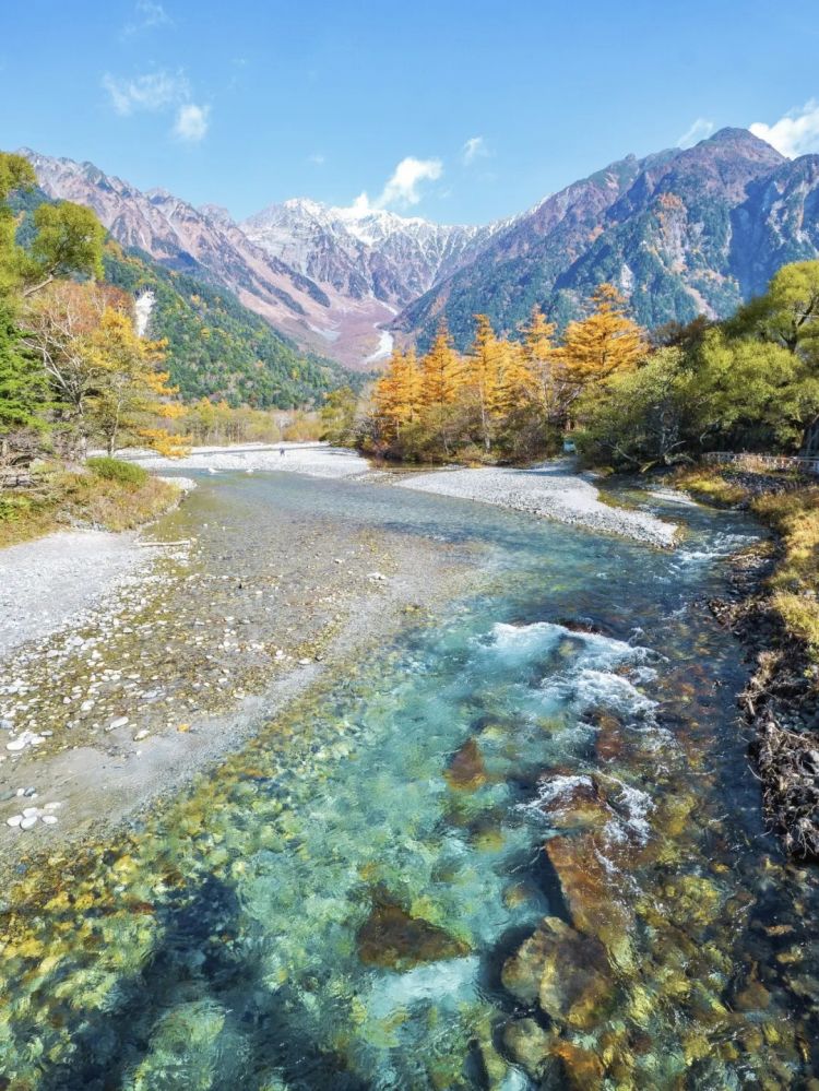 第258期:高市早苗首相梦碎?米仓凉子涉毒?NHK官宣红白主持人 绫濑遥领衔;大阪世博闭幕 | 百通板 第258期:高市早苗首相梦碎?米仓凉子涉毒?NHK官宣红白主持人 绫濑遥领衔;大阪世博闭幕 | 百通板