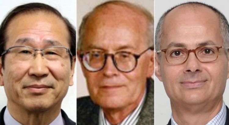 第258期:高市早苗首相梦碎?米仓凉子涉毒?NHK官宣红白主持人 绫濑遥领衔;大阪世博闭幕 | 百通板 第258期:高市早苗首相梦碎?米仓凉子涉毒?NHK官宣红白主持人 绫濑遥领衔;大阪世博闭幕 | 百通板